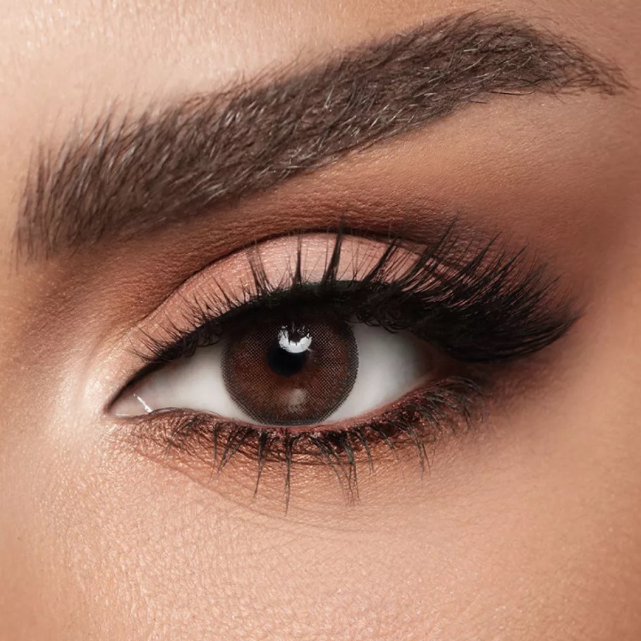 Diva Colored Lens Cedar