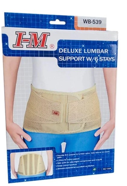 Back Support  L