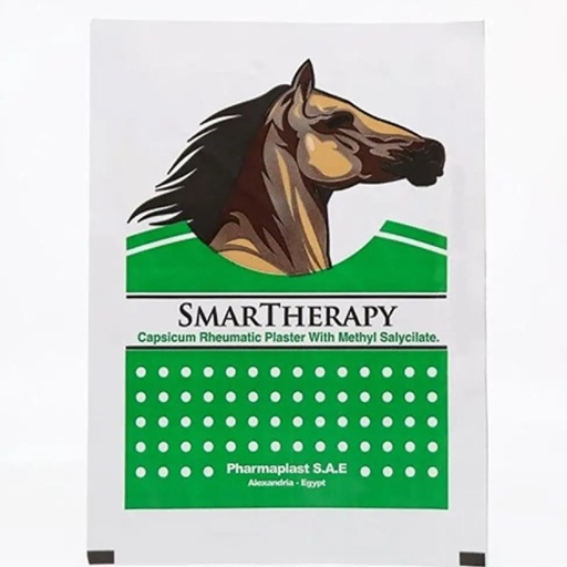 SMARTHERAPY CAPSICUM RHEUMATIC PLASTER GREEN