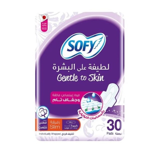 Sofy Gentle To Skin Large Pad 30